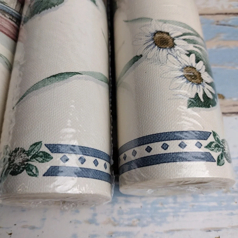 5 New Rolls Fashion Point Coordinated Borders Flowers Baskets Berries Daisies